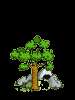1212539389485.gif